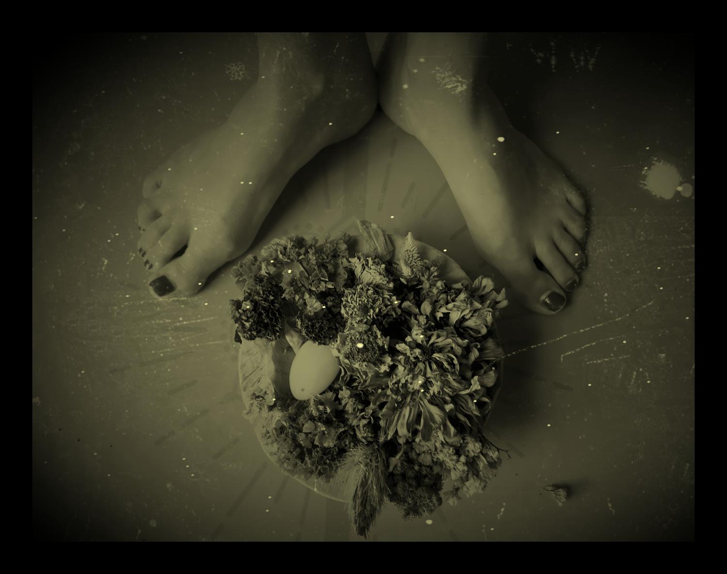 Flowery_feets's media