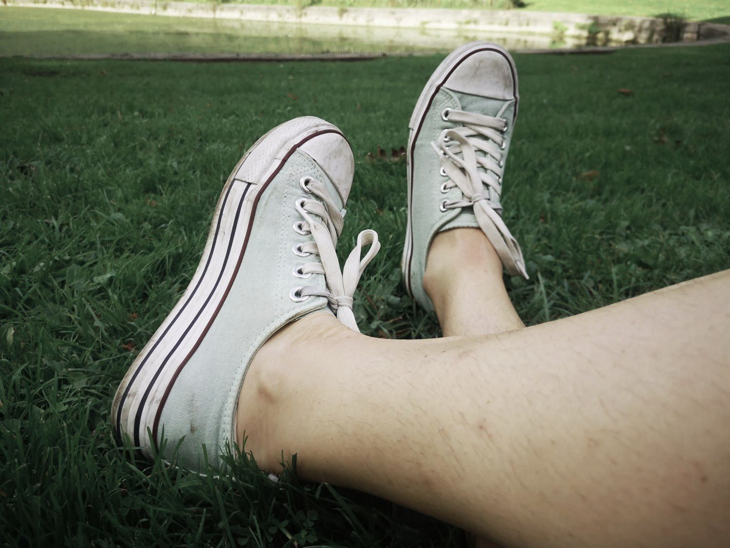 Flowery_feets's media