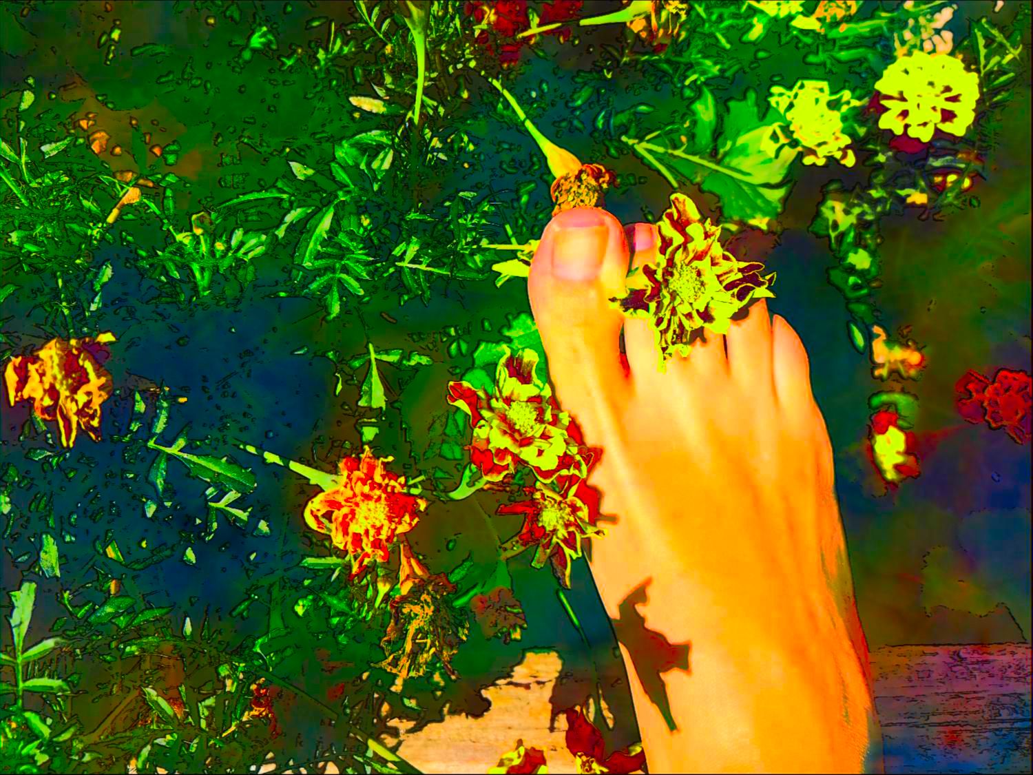 Flowery_feets's media