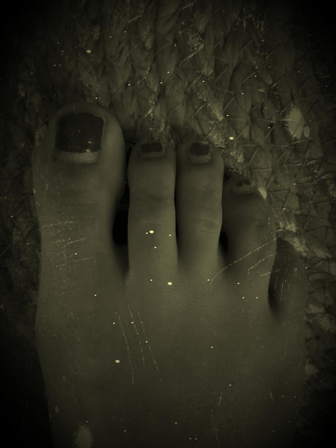 Flowery_feets's media