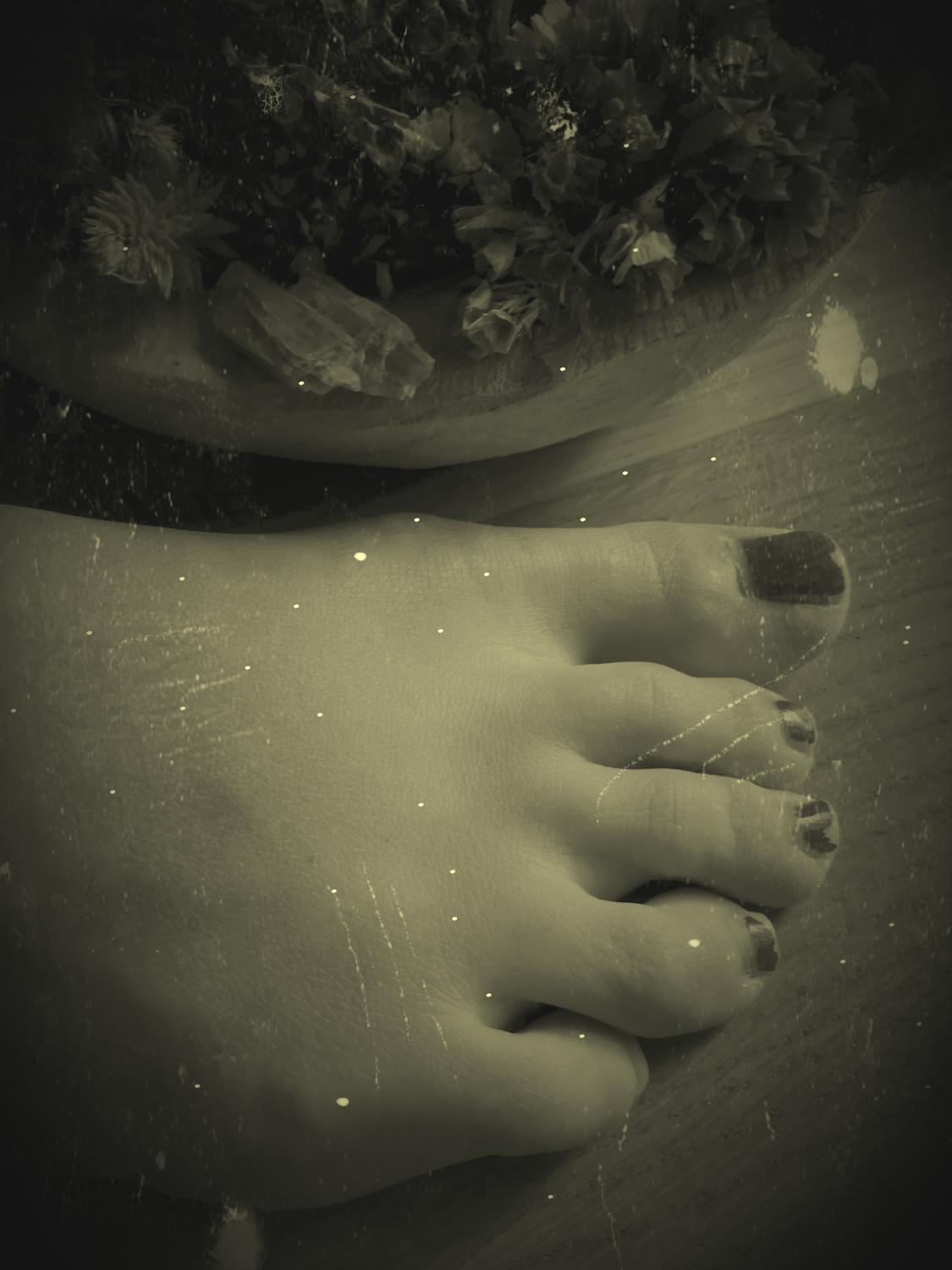 Flowery_feets's media