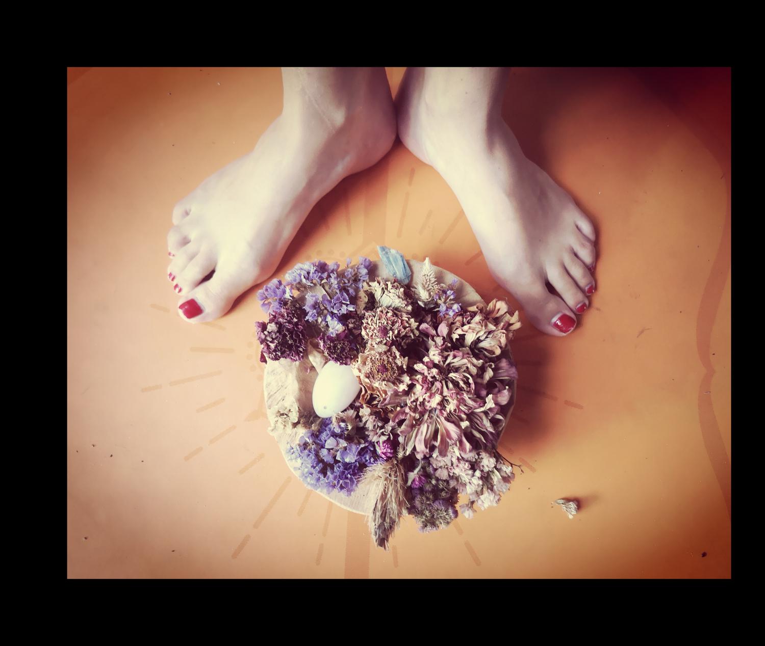 Flowery_feets's media