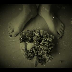 Flowery_feets's media
