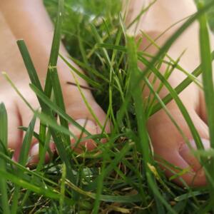 Flowery_feets's media