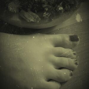 Flowery_feets's media