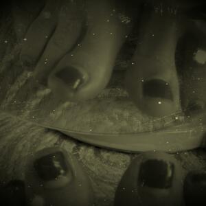 Flowery_feets's media