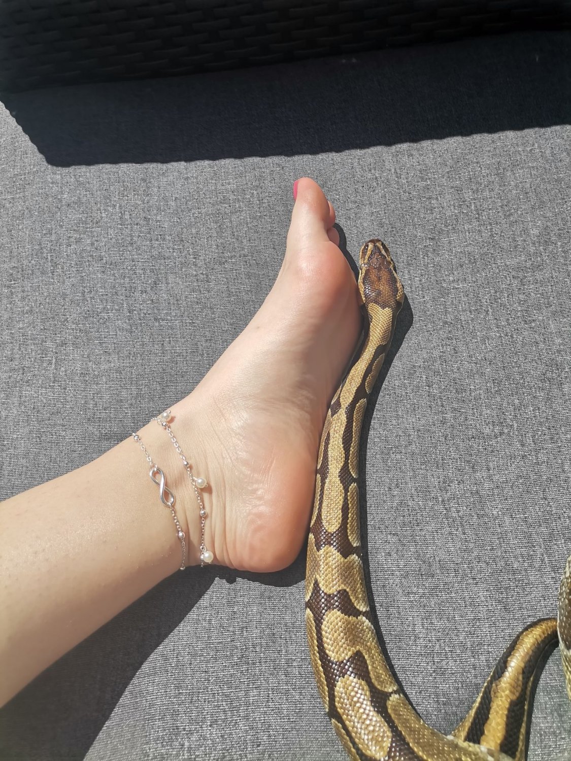 Foot_and_snake's media