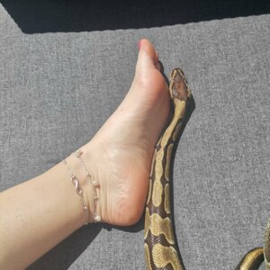 Foot_and_snake's media