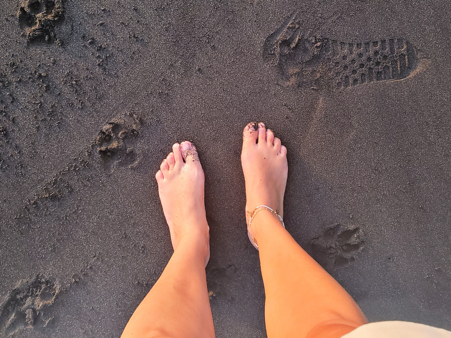 Footonthebeach's media