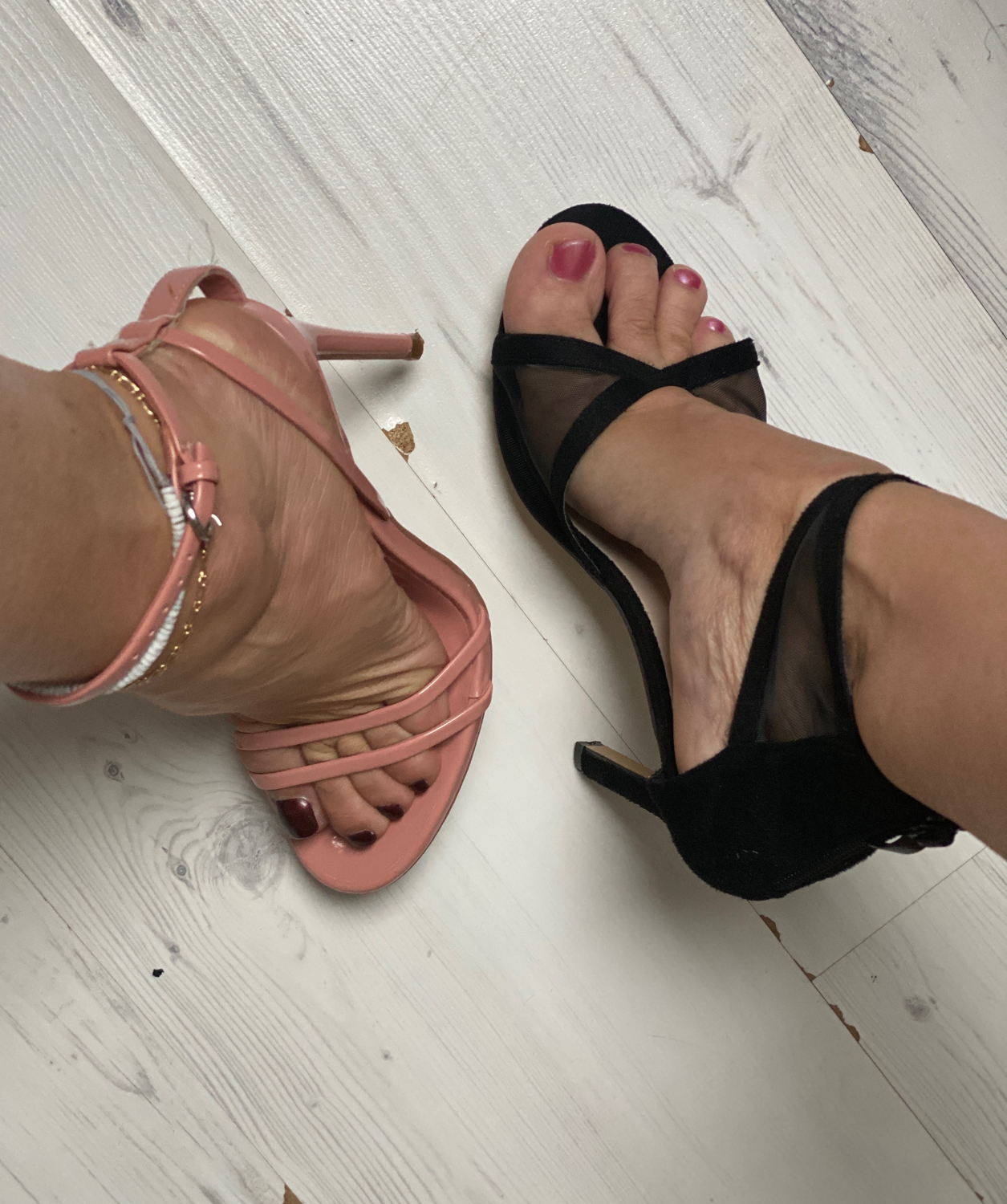 Fourfeetforyou's media