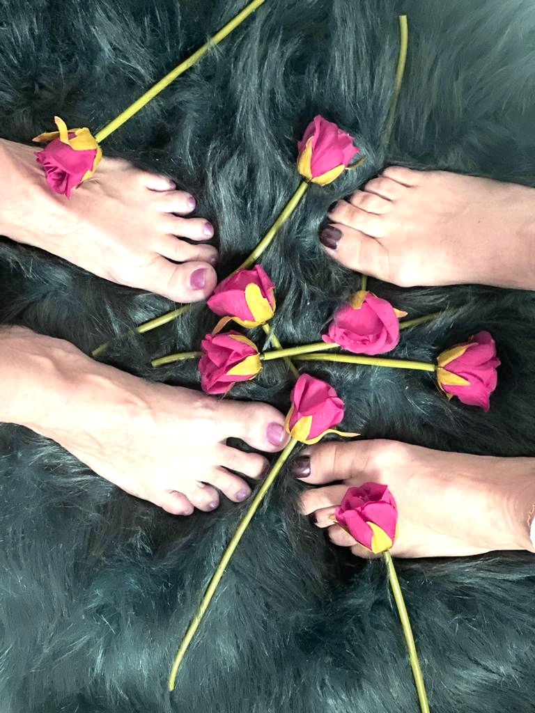 Fourfeetforyou's media