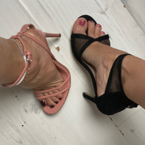 Fourfeetforyou's media