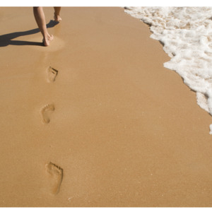 Free_lovely_feet_'s media