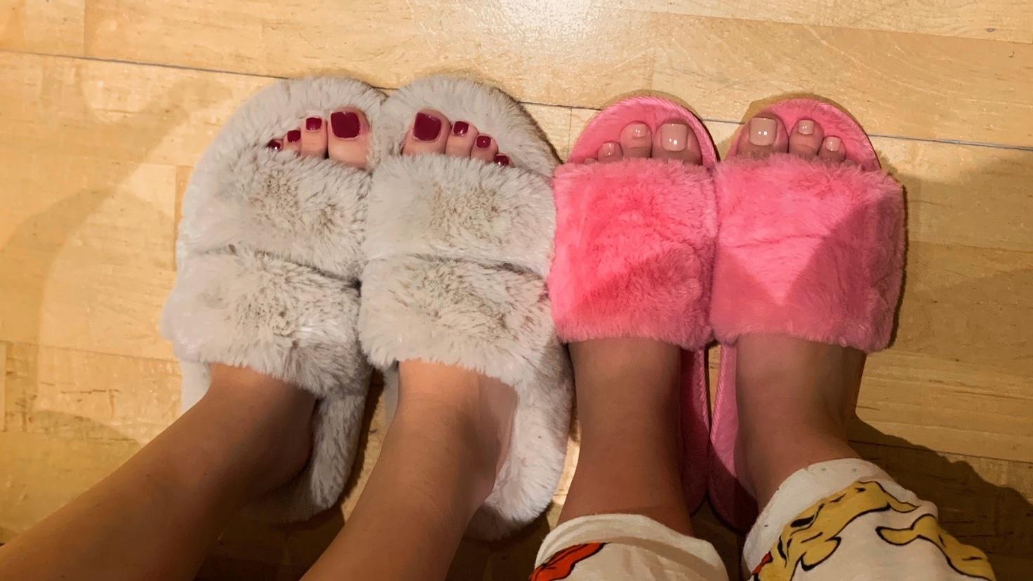 Frenchiesfeet_'s media
