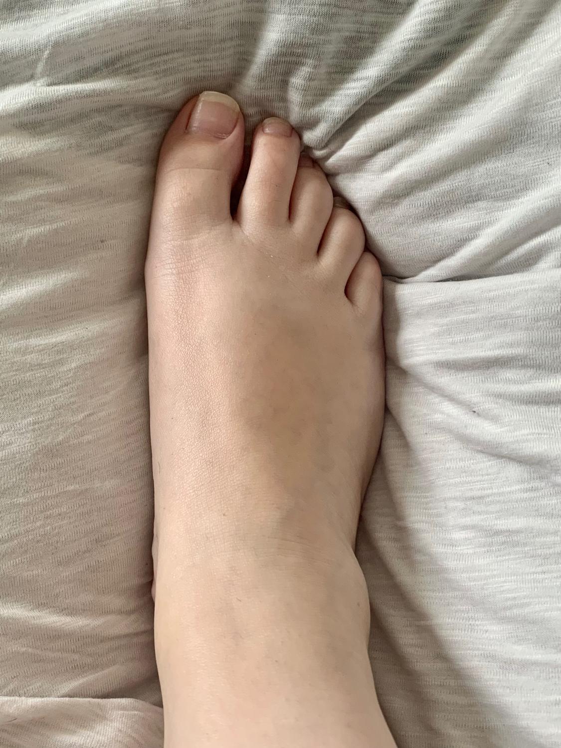 Frenchiesfeet63's media