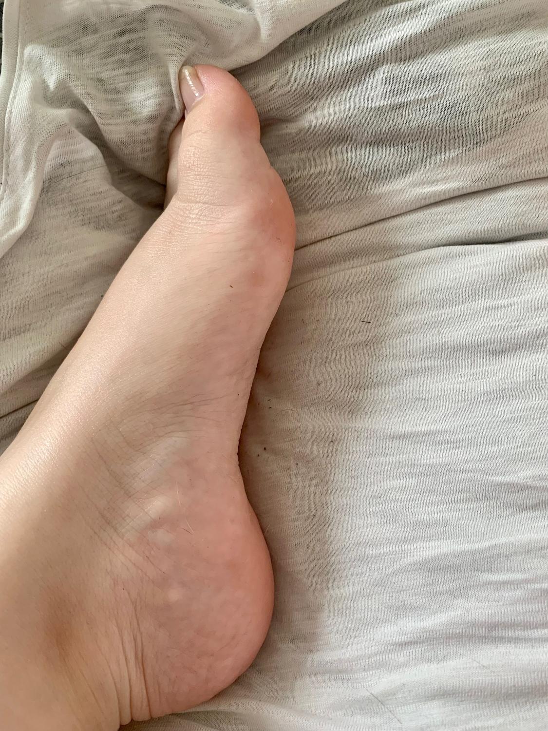Frenchiesfeet63's media