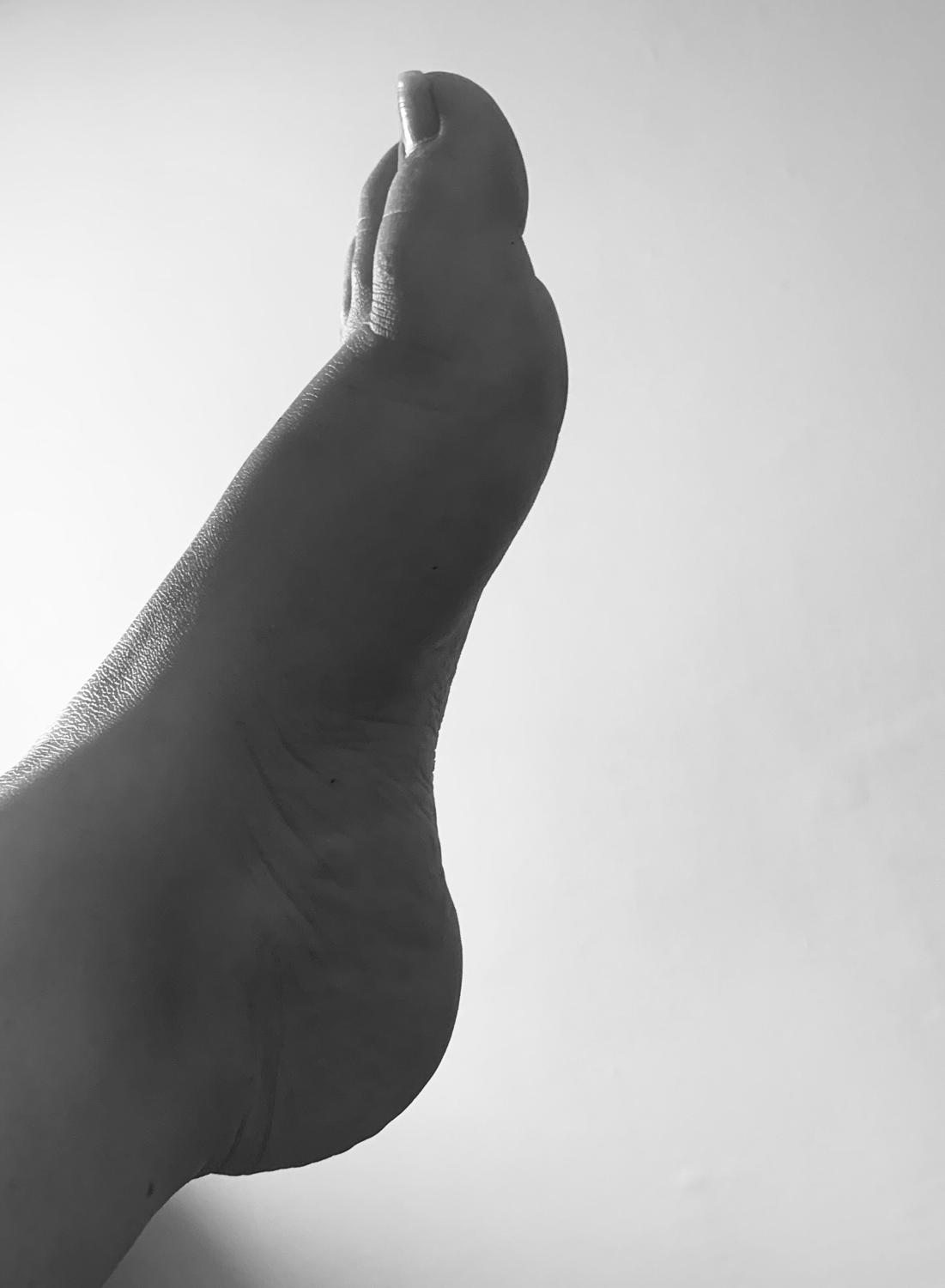 Frenchiesfeet63's media