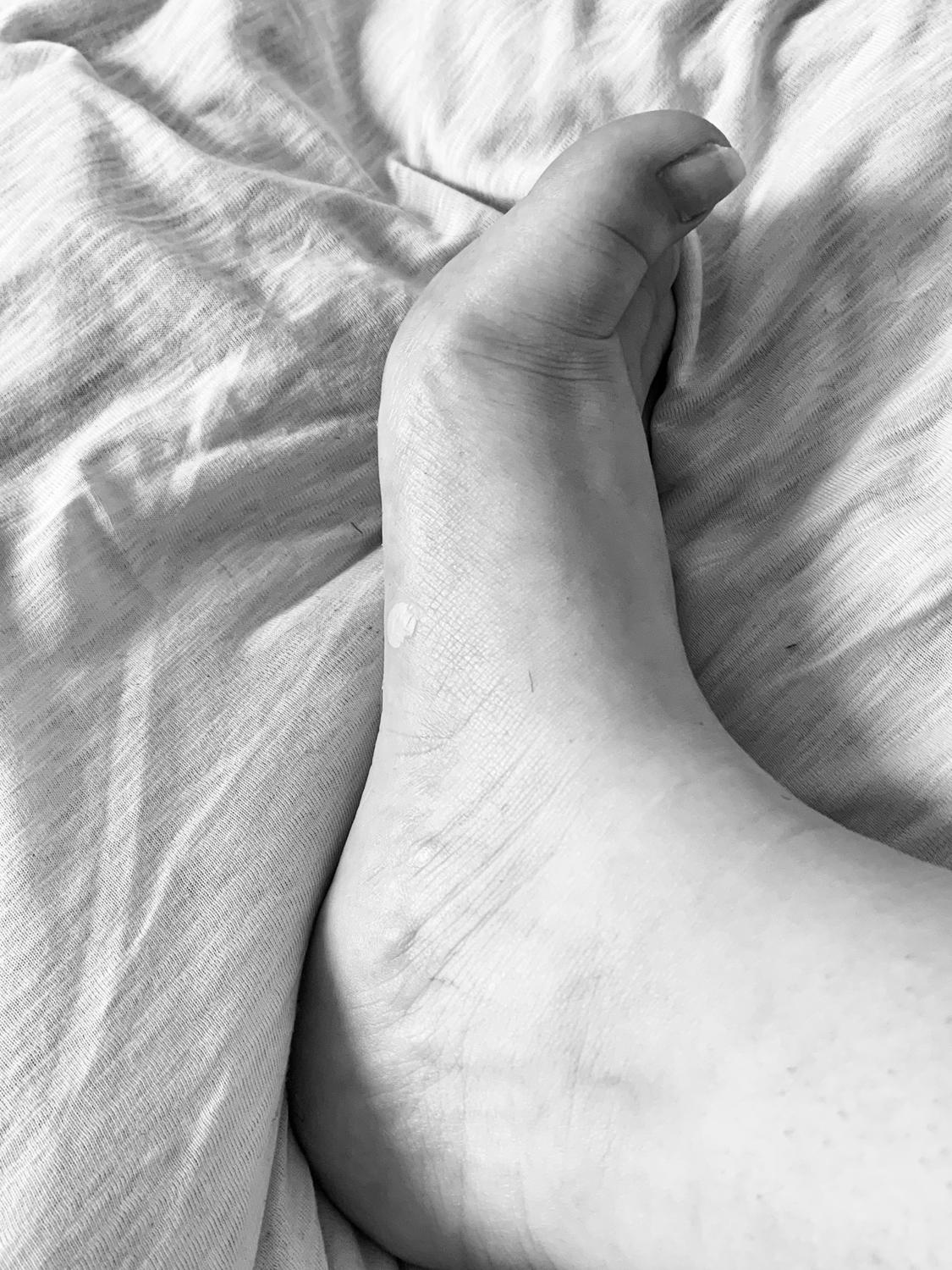 Frenchiesfeet63's media