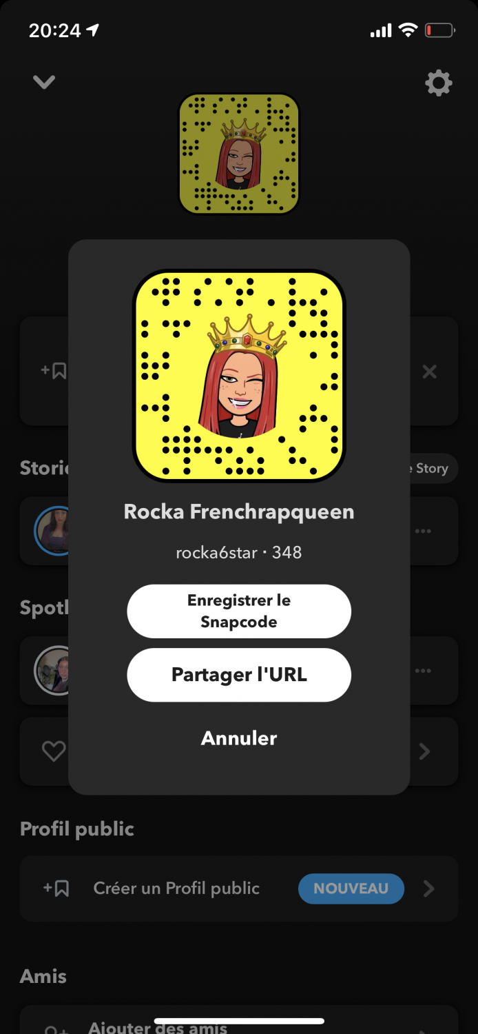 Frenchrapqueen's media