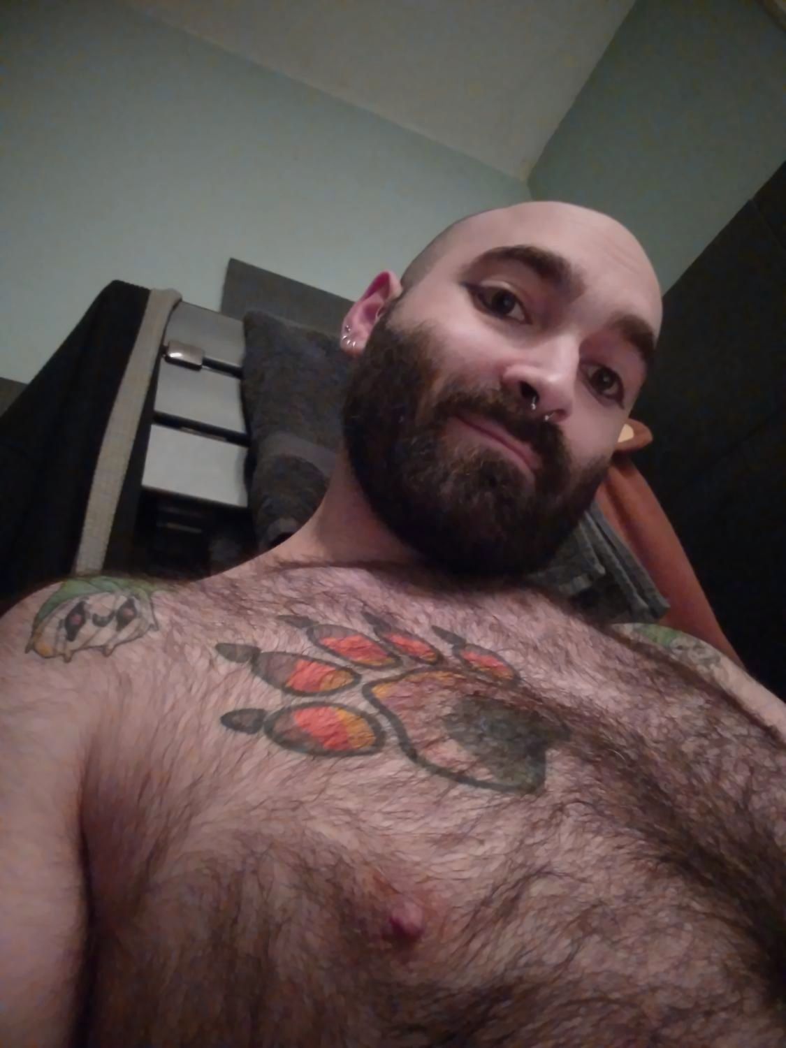Gentlebear_dijon's media
