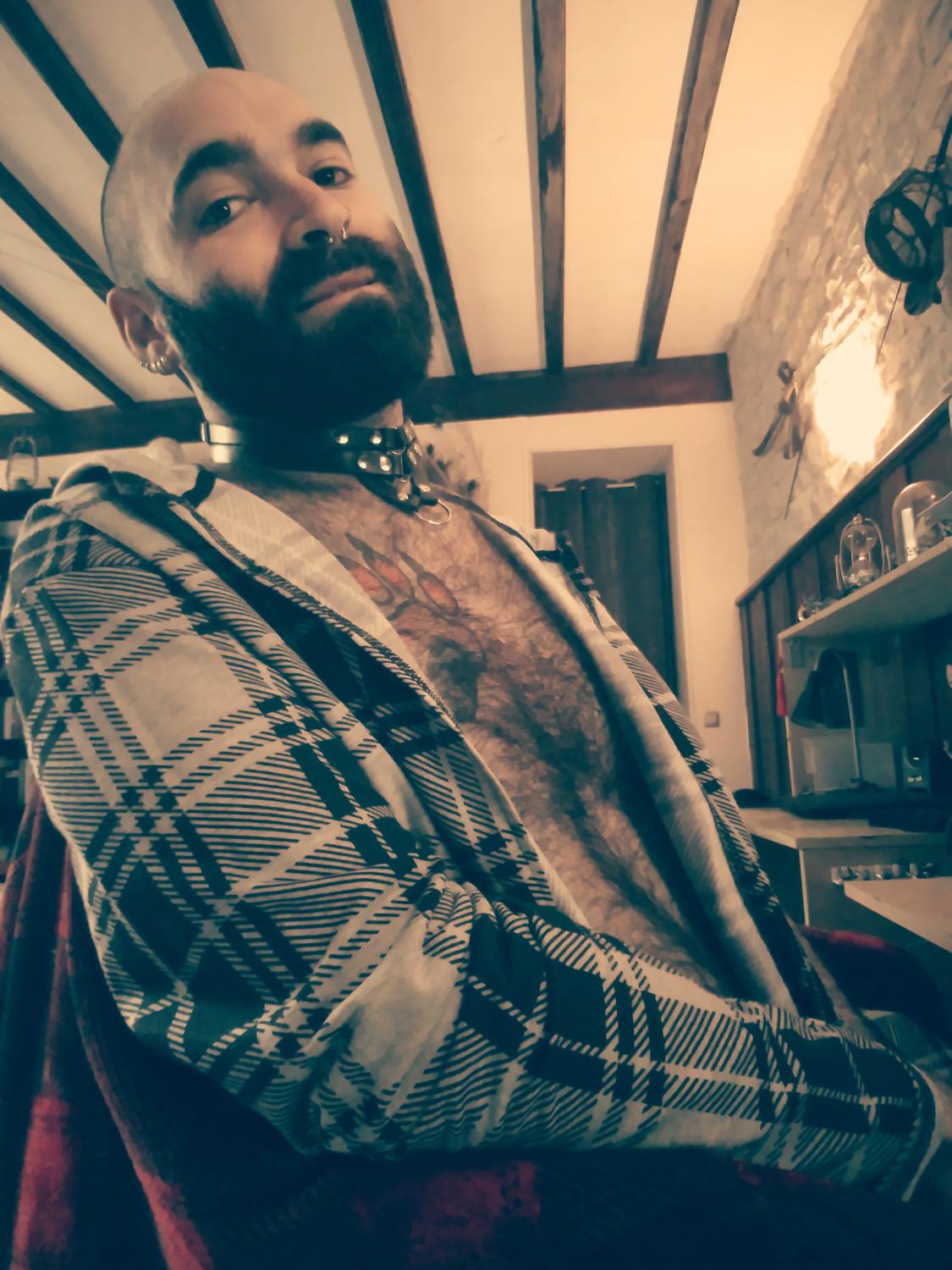 Gentlebear_dijon's media