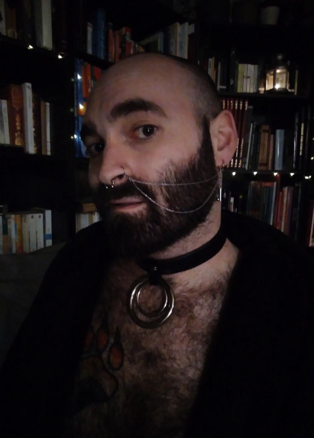 Gentlebear_dijon's media