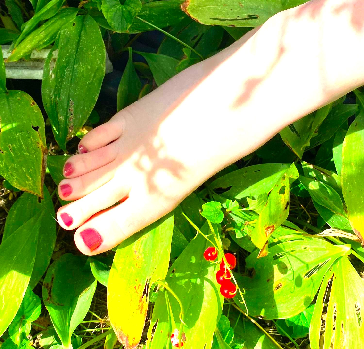 Girly-pieds's media