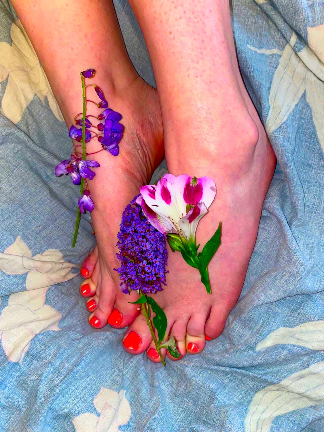 Girly-pieds's media
