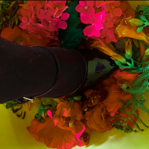 Girly-pieds's media