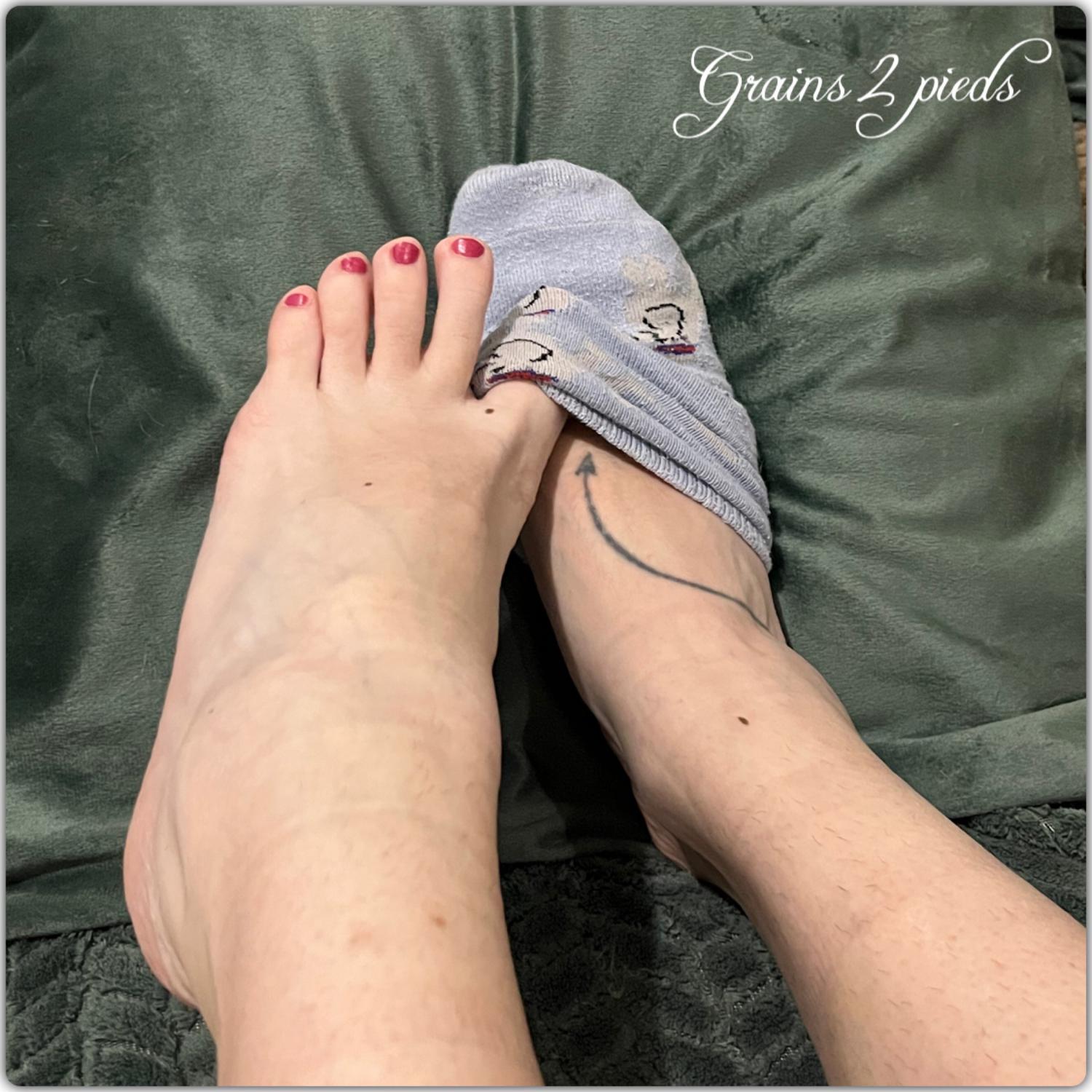 Grains2pieds's media