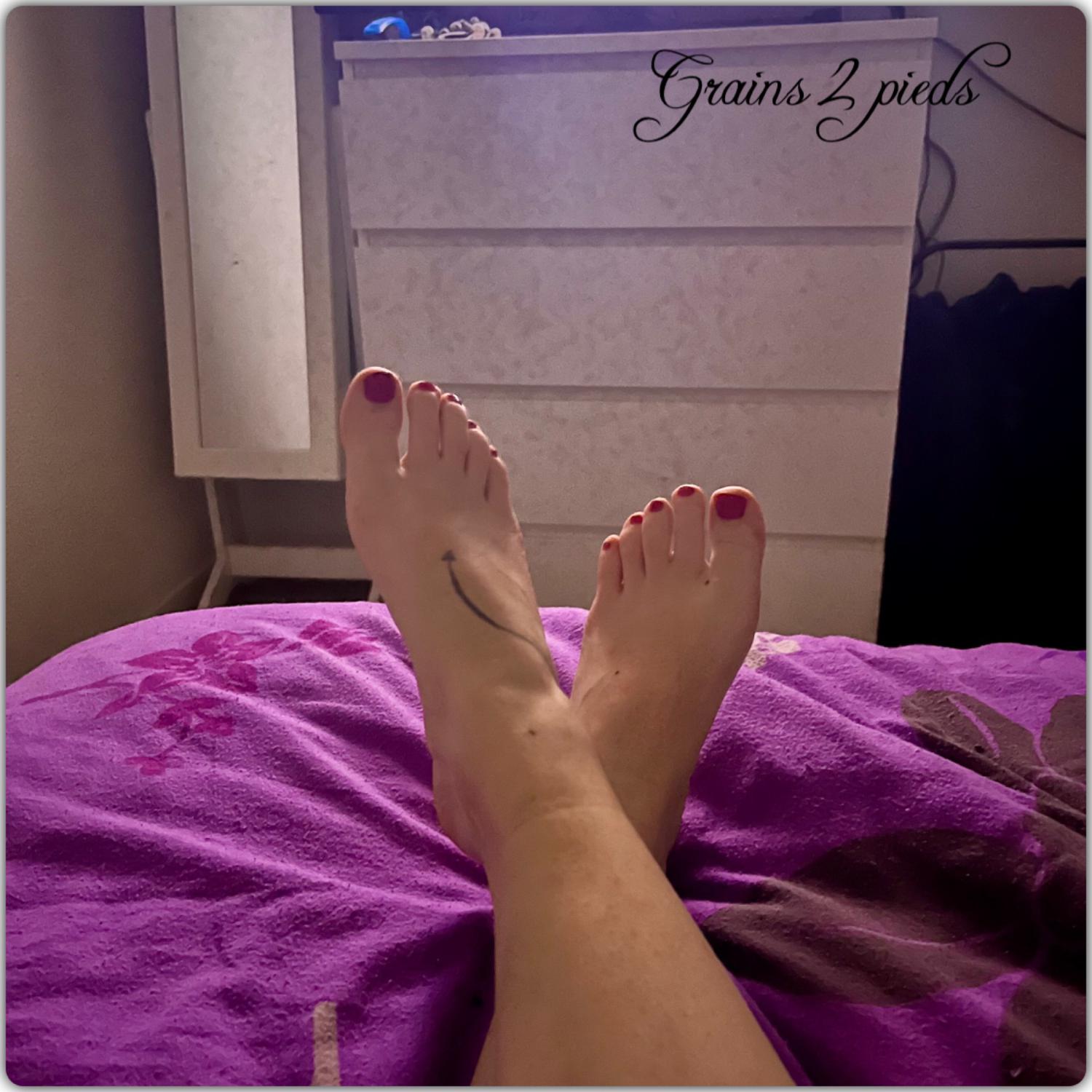 Grains2pieds's media
