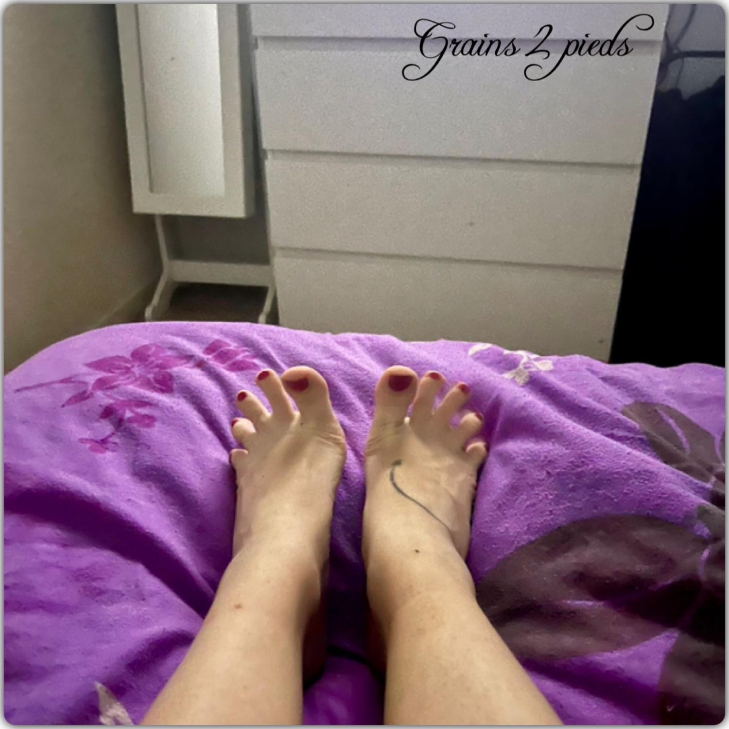 Grains2pieds's media