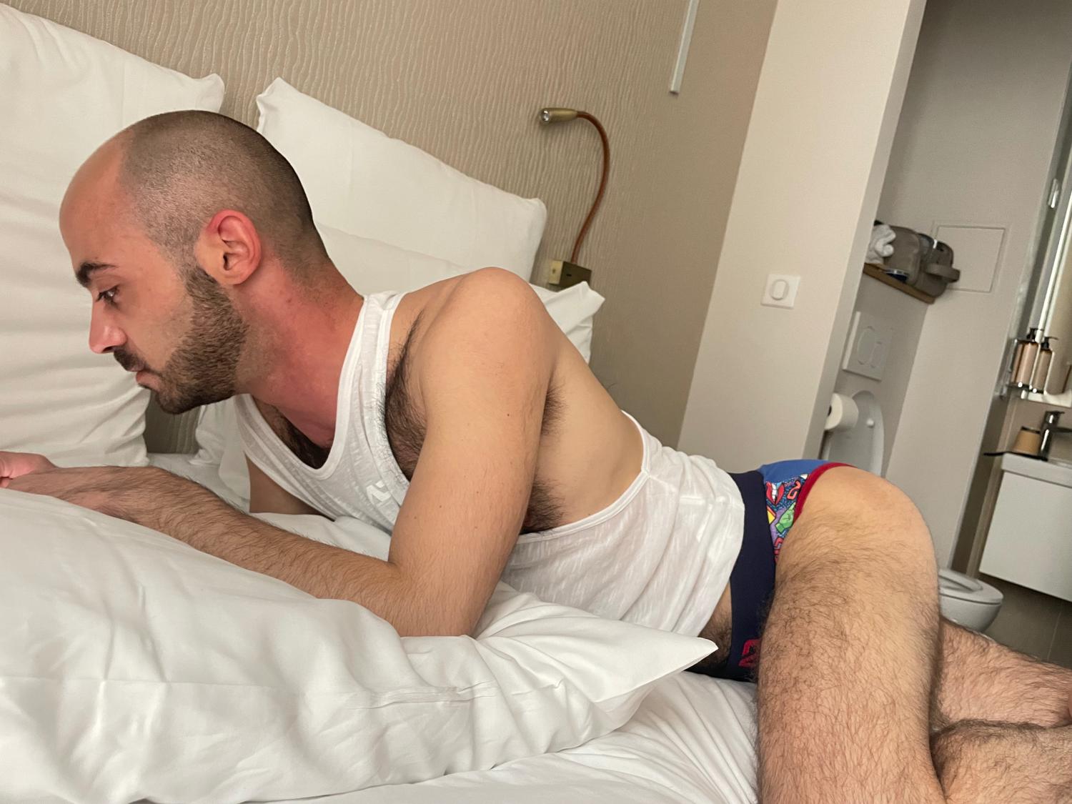 Hairyfrenchgay's media