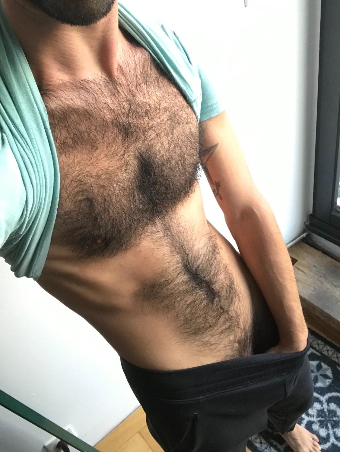 Hairyfrenchgay's media