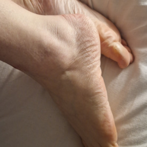 Hand-foot's media