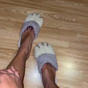 Happyfeet_frenchyy's media