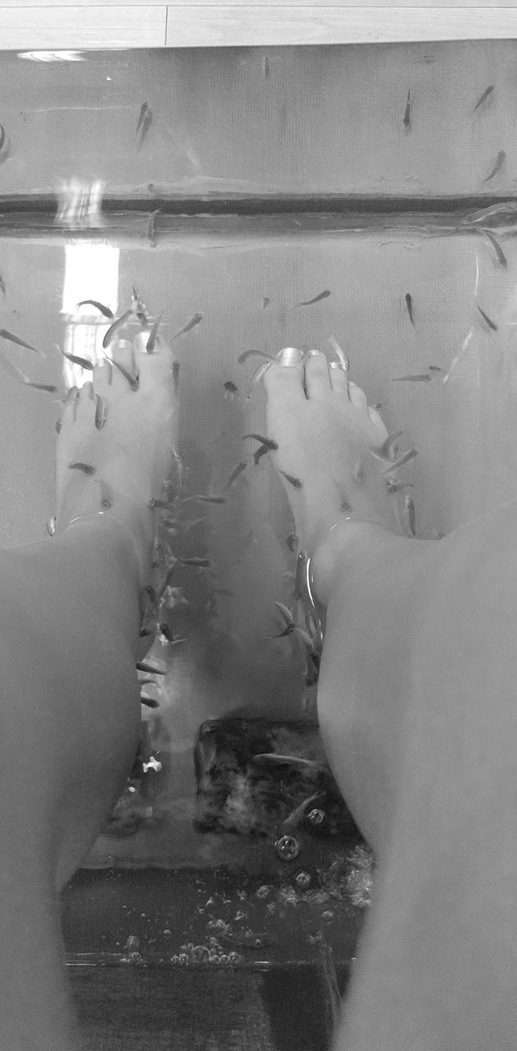 Happyfeetpiedsheureux's media