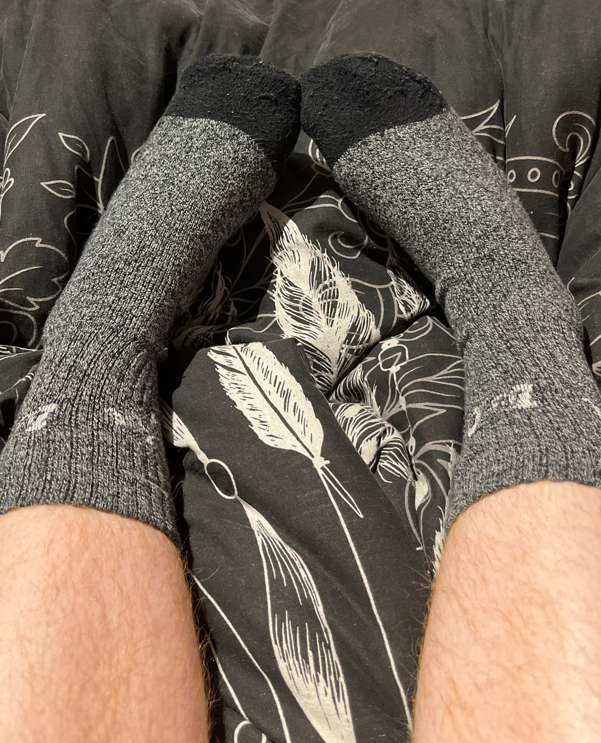Hellopieds's media