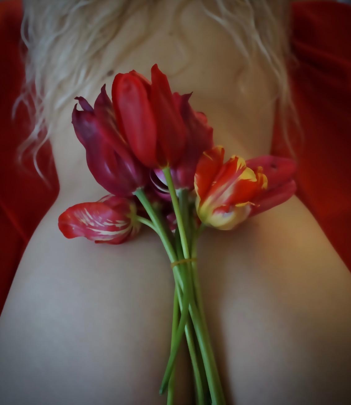 Honeymoon-zart's media