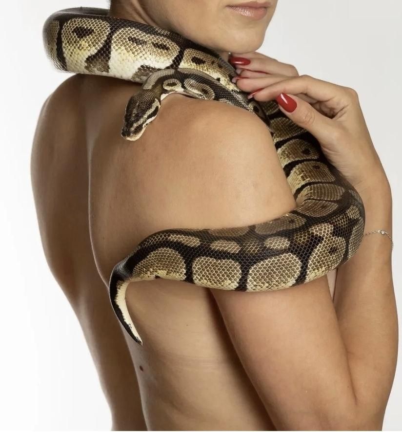 Hot_snake's media