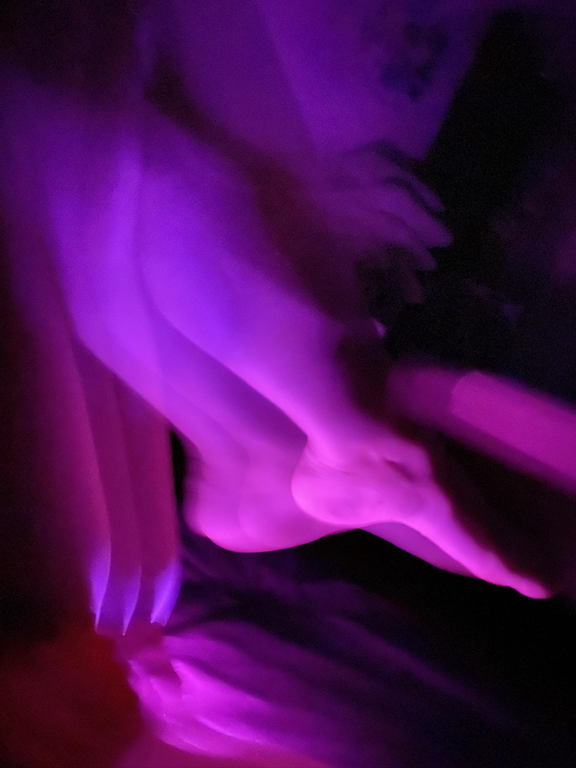 Icypurple's media
