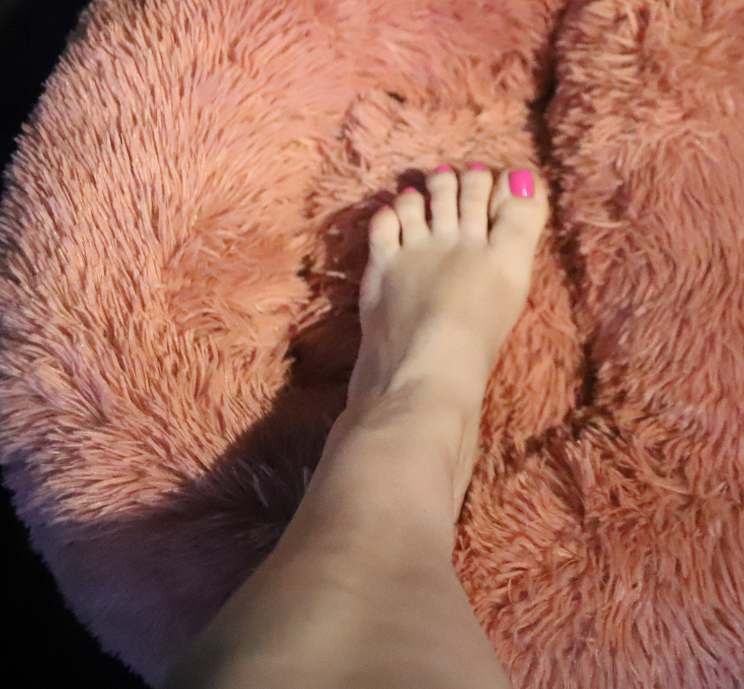 Isa_feet13's media