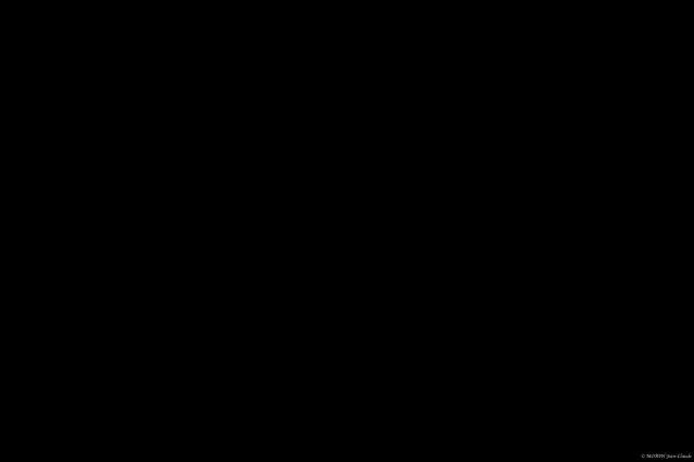 J3yrome's media