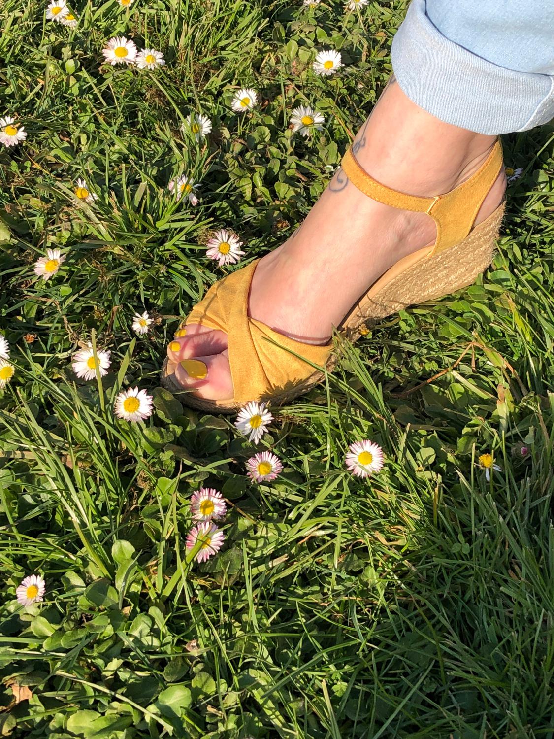 Joliepieds_tess's media