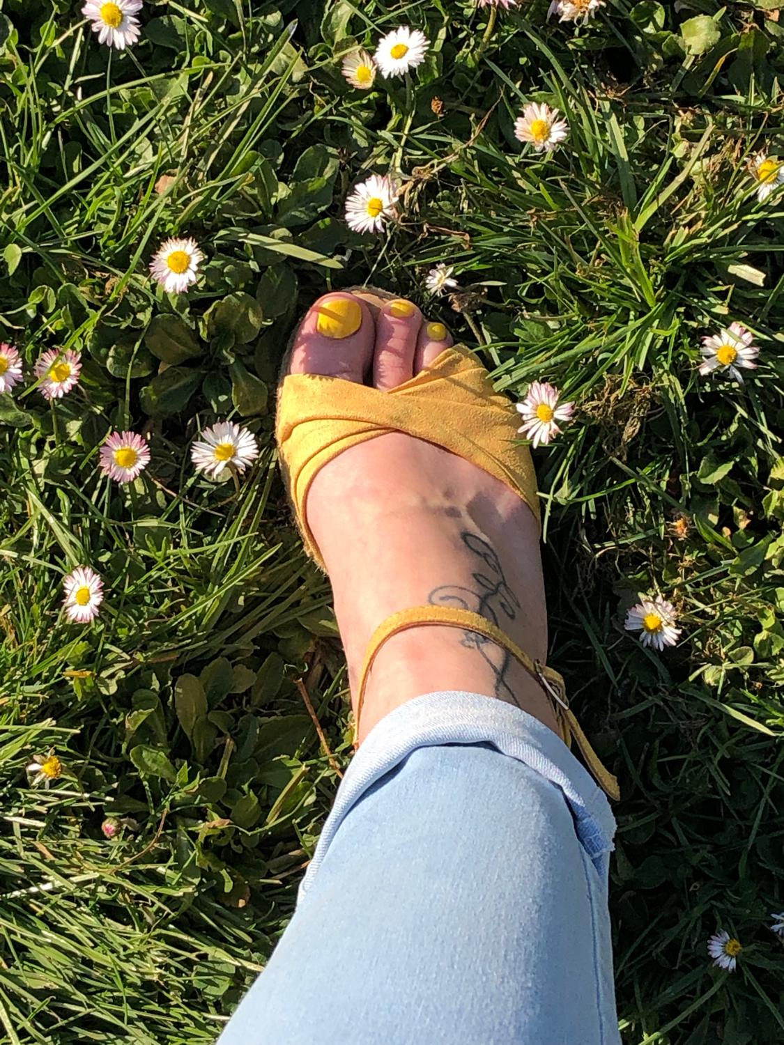Joliepieds_tess's media