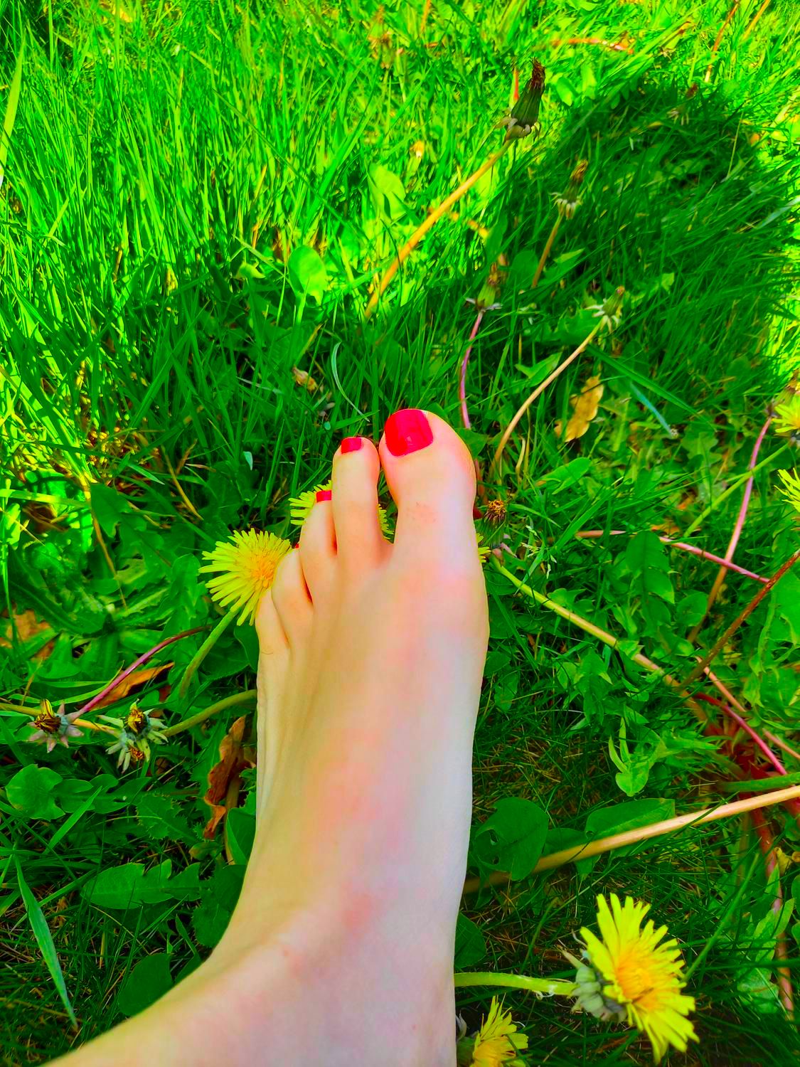 Jolis_pieds_25's media