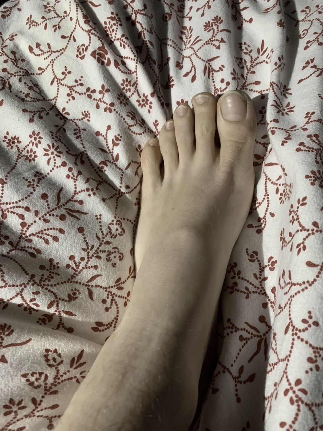 Josephinefeet's media
