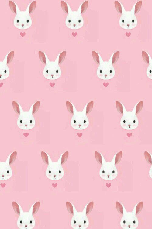 Judy_bunny's media