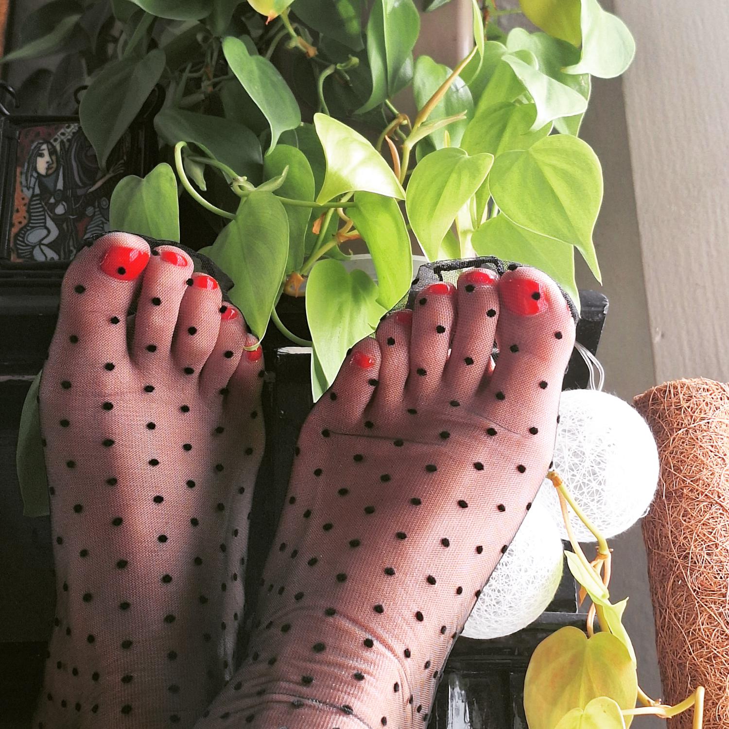 Junglefeet_ch's media