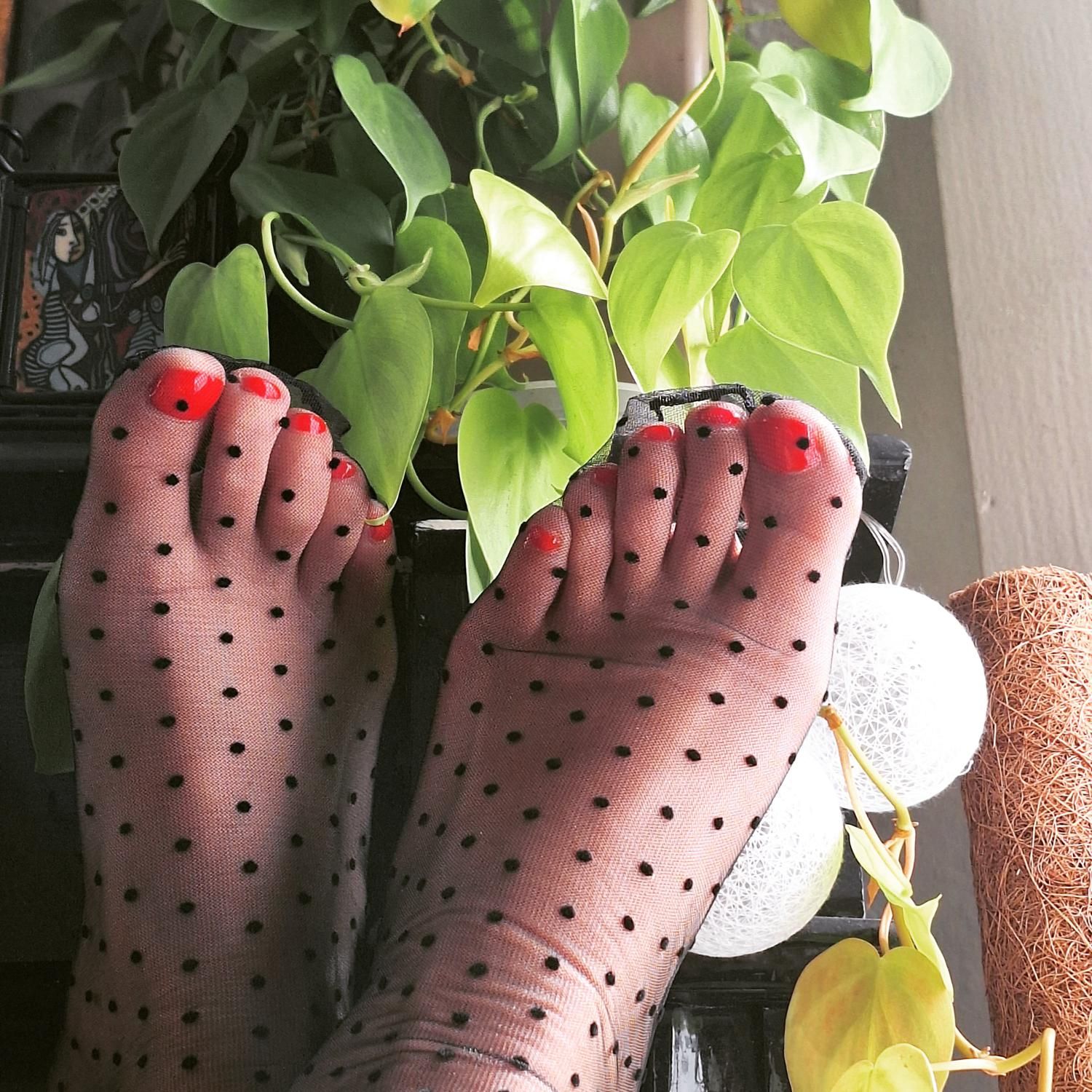 Junglefeet_ch's media